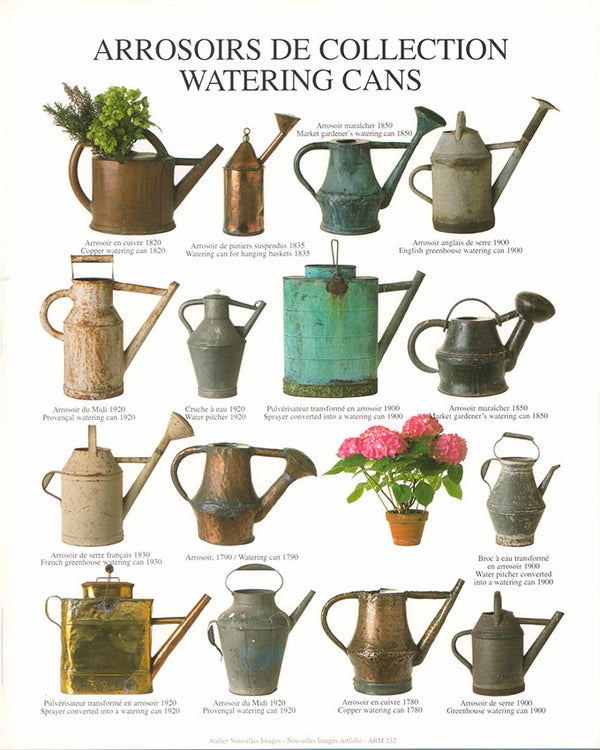 Watering cans by Atelier Nouvelles Images - 10 X 12 Inches (Art Print)