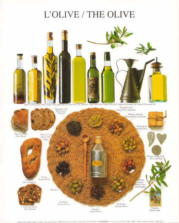 The Olive by Atelier Nouvelles Images - 10 X 12 Inches (Art Print)