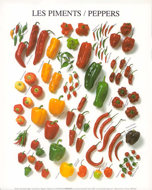 Peppers by Atelier Nouvelles Images - 10 X 12 Inches (Art Print)