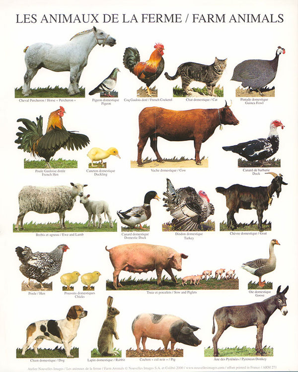 Farm Animals by Atelier Nouvelles Images- 10 X 12 Inches (Art Print)