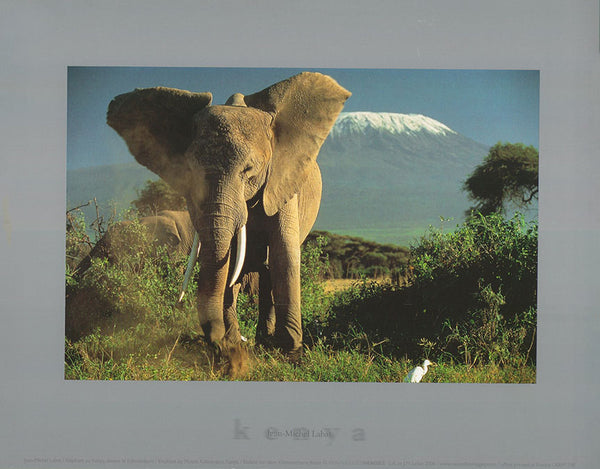 Elephant by Mount Kilimanjaro , Kenya by Jean-Michel Labat - 10 X 12 Inches (Art Print)