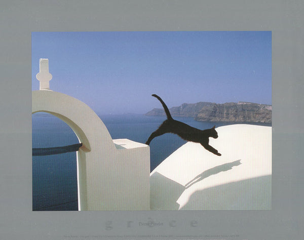 Greek Cat by Pierre Putelat - 10 X 12 Inches (Art Print)