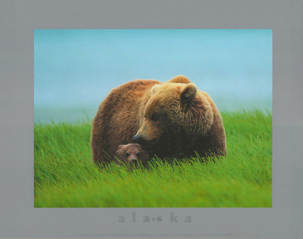 Brown Bears by Art Wolfe - 10 X 12 Inches (Art Print)