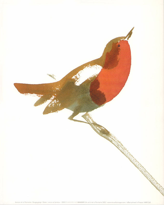 Robin by Aurore de la Morinerie  - 10 X 12 Inches (Art Print)