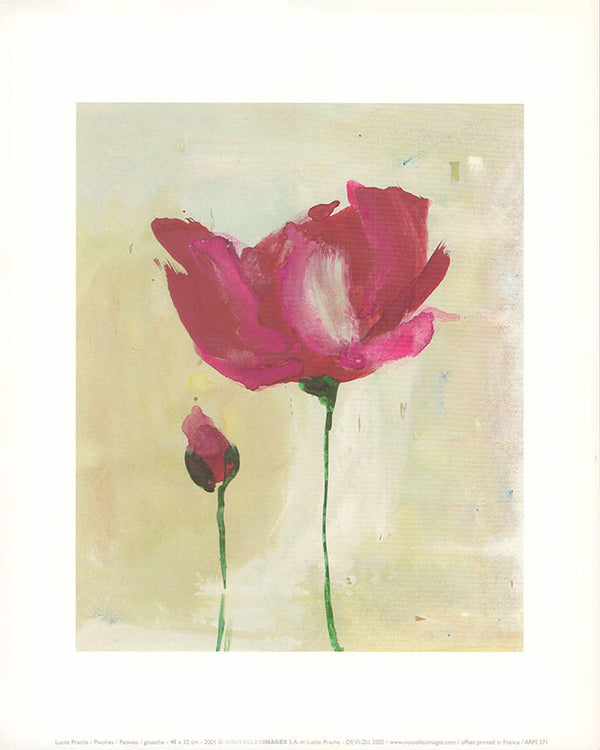 Peonies by Lucile Prache - 10 X 12 Inches (Art Print)