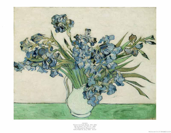Irises 1890 by Vincent Van Gogh - 11 X 14 Inches (Art Print)