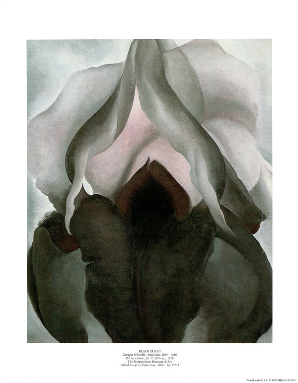 Black Iris III, 1926 by Georgia O'Keeffe - 11 X 14 Inches (Art Print)