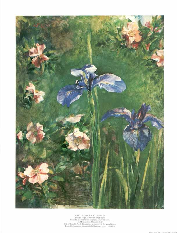 Wild Roses and Irises by John La Farge - 11 X 14 Inches (Art Print)