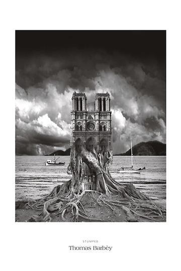 Stumped by Thomas Barbey - 24 X 36 Inches (Art Print)