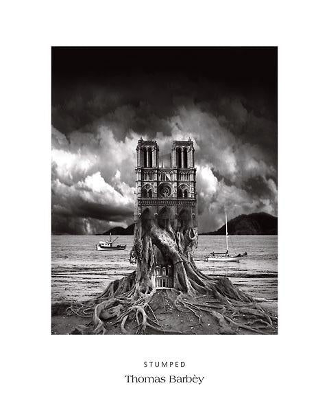 Stumped by Thomas Barbey - 16 X 20 Inches (Art Print)