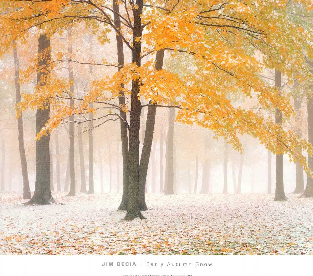 Early Autumn Snow by Jim Becia - 26 X 30 Inches (Art Print