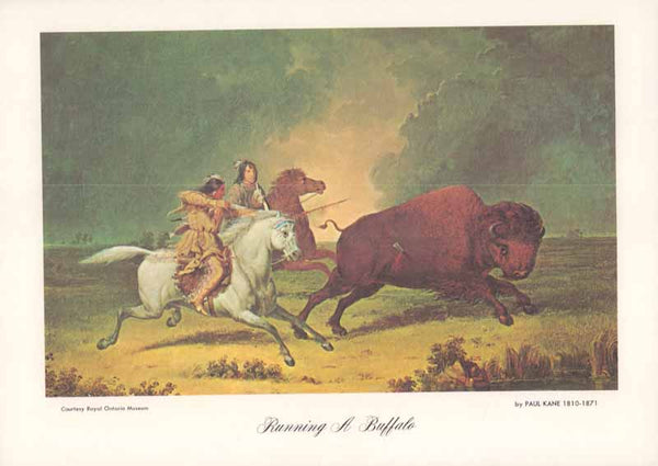 Running a Buffalo by Paul Kane - 8 X 11 Inches (Art Print Color)