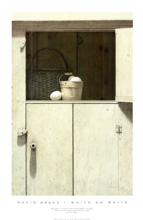 White on White by David Brega - 24 X 36 inches (Art Print)