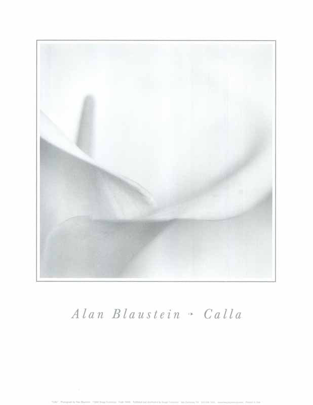 Calla by Alan Blaustein - 11 X 14 Inches (Art Print)