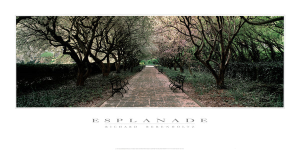 Esplanade by Richard Berenholtz - 18 X 36 Inches (Art Print)