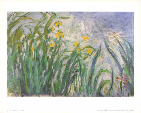 Les Iris par Claude Monet - 10 X 12 Inches (Art Print)