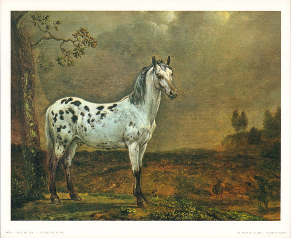The White Horse, 1653 by Paul Potter - 10 X 12 Inches (Art Print)