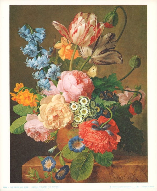 Roses, Tulips and Poppies by Jan Frans Van Dael - 10 X 12 Inches (Art Print)