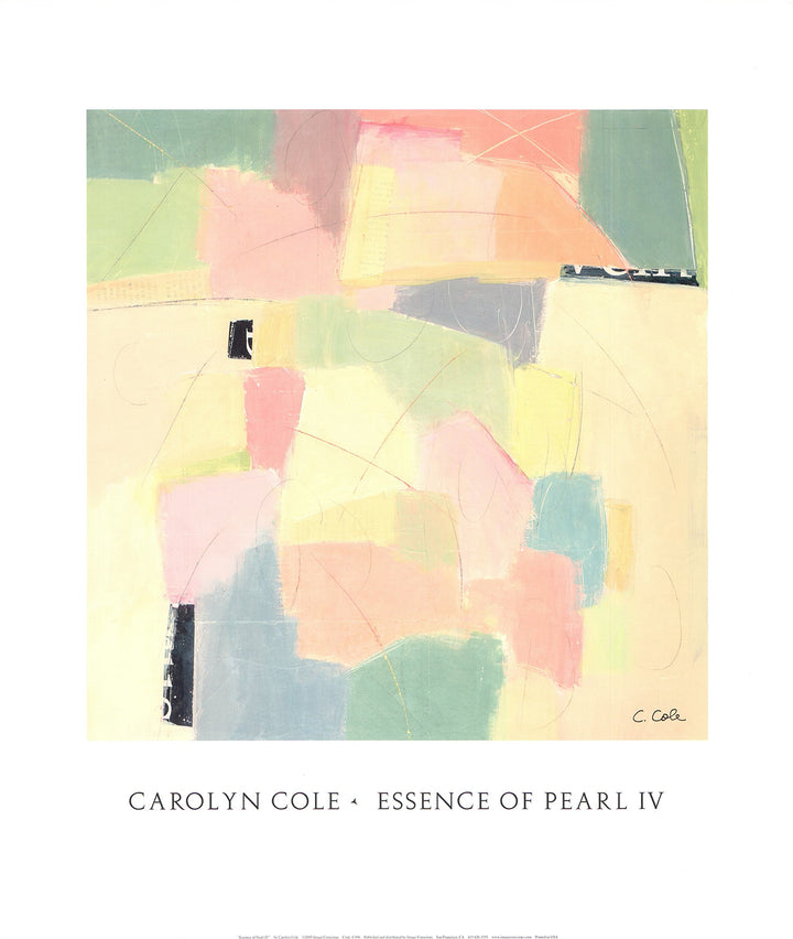 Essence of Pearl IV by Carolyn Cole - 18 X 21 Inches (Art Print)