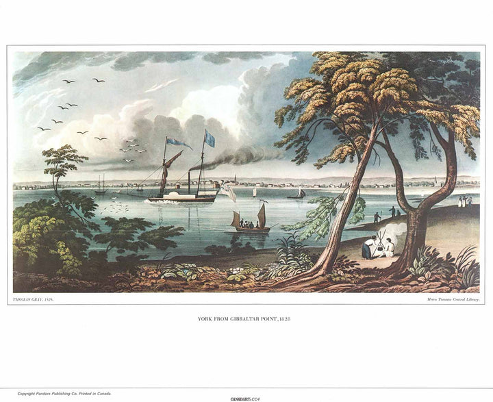 York from Gibraltar Point, 1828 by Thomas Gray - 19 X 23 Inches (Art Print)