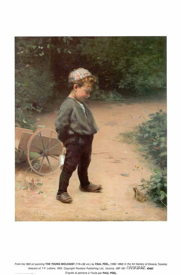 The Young Biologist, 1891 by Paul Peel - 12 X 18 Inches (Art Print)