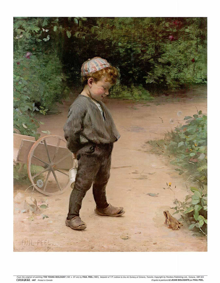 The Young Biologist, 1891 by Paul Peel - 19 X 24 Inches (Art Print)