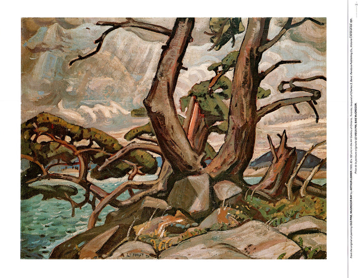 Old Pine, McGregor Bay, 1929 by Arthur Lismer - 19 X 24 Inches (Art Print)