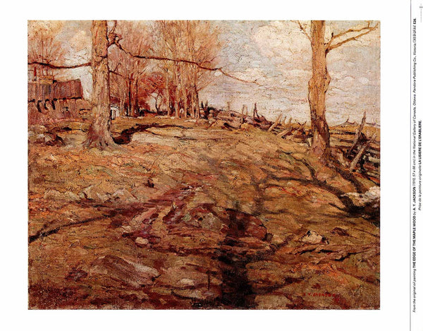 The Edge of the Maple Wood, 1910 by Alexander Young Jackson - 19 X 24 Inches (Art Print)