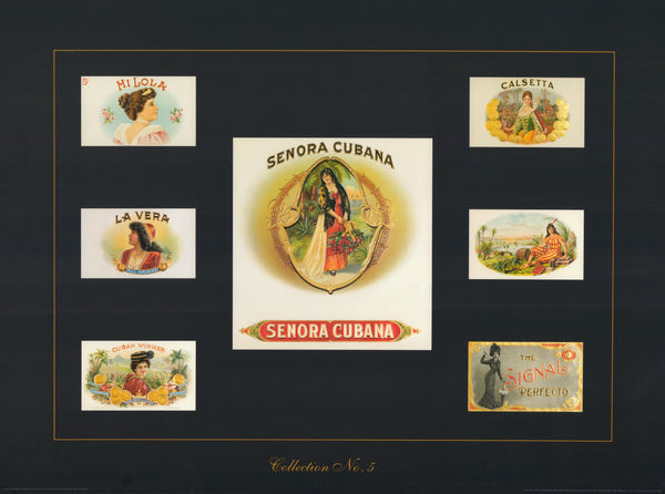 Cigar Box Label Collection no. 5 by Joe Davidson - 18 X 24 Inches (Art Print)
