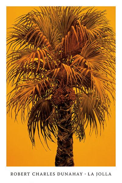 La Jolla by Robert Dunahay - 14 X 20 inches (Art Print)