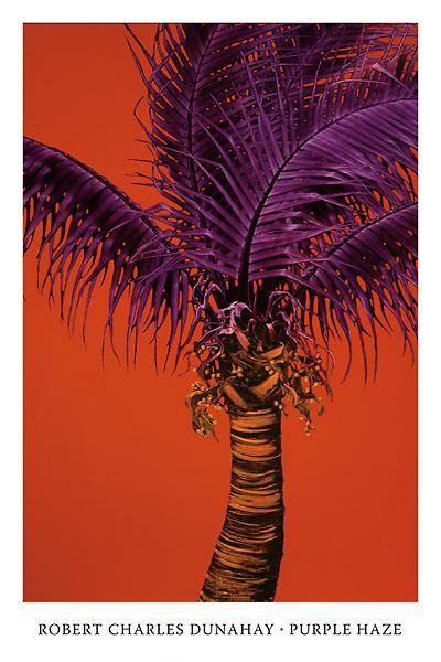 Purple Haze by Robert Dunahay - 24 X 36 Inches (Art Print)