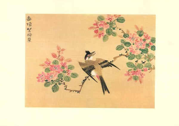 Swallow Spreading its Wings by Li Youen Kien - 16 X 22 Inches (Art Print)