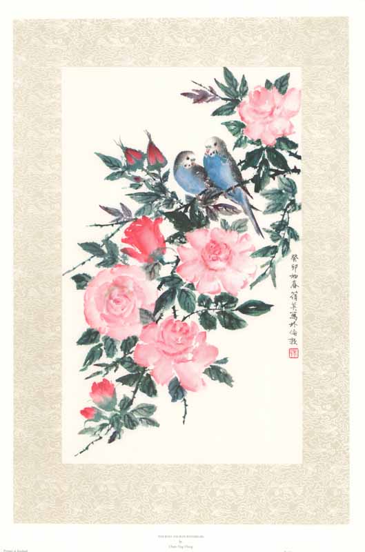 Pink Roses and Blue Budgerigars by Chien-Ying Chang - 17 X 24 Inches (Art Print)