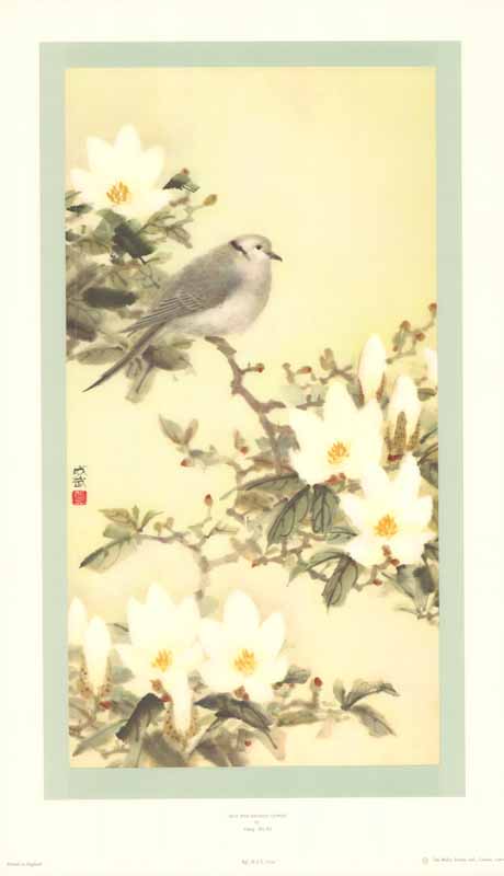 Dove with Magnolia Flowers by Cheng Wu-Fei - 17 X 28 Inches (Art Print)