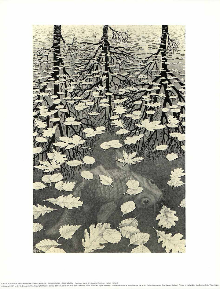 Three Worlds, 1955 by M. C. Escher - 14 X 17 Inches (Art Print)