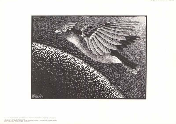 Le Premier Jours de la Création by M. C. Escher - 12 X 17 Inches (Art Print)