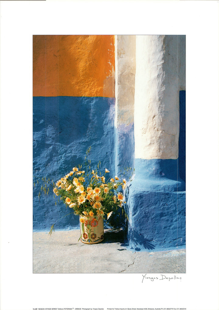 Daisies W. Blue Wall by Yiorgos Depollas - 20 X 28 Inches (Art Print)
