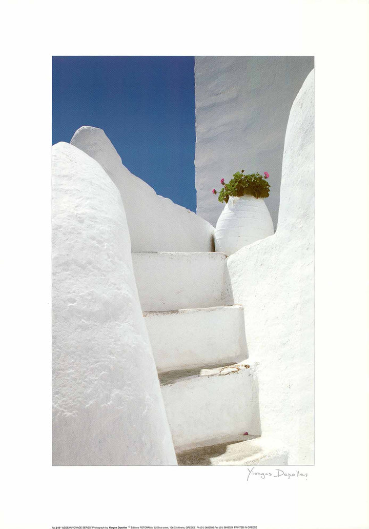 White Steps with Flowers by Yiorgos Depollas - 20 X 28 Inches (Art Print)