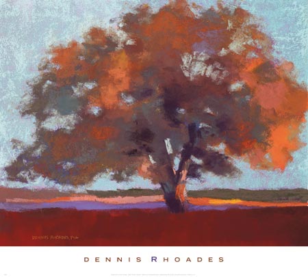 Twilight Oak II by Dennis Rhoades - 18 X 20 Inches (Art Print)