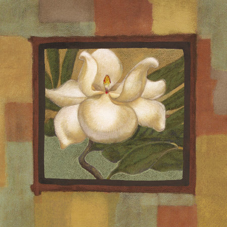 Spring Magnolia I by Diane Cooper - 18 X 18 Inches (Art Print)