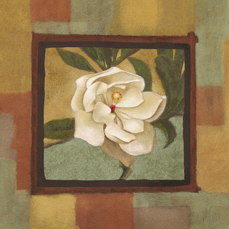 Spring Magnolia II by Diane Cooper - 18 X 18 Inches (Art Print)