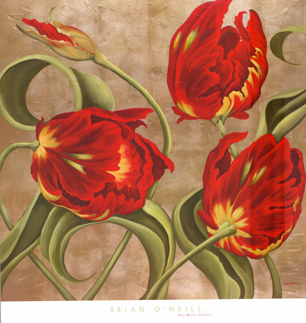 Scarlet Arabesque by Brian O'Neill - 36 X 38 Inches (Art Print)