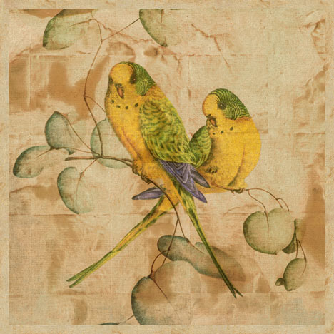 Songbirds I by John Butler - 19 X 19 Inches (Art Print)