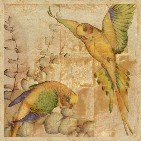 Songbirds II by John Butler 19 X 19 Inches (Art Print)