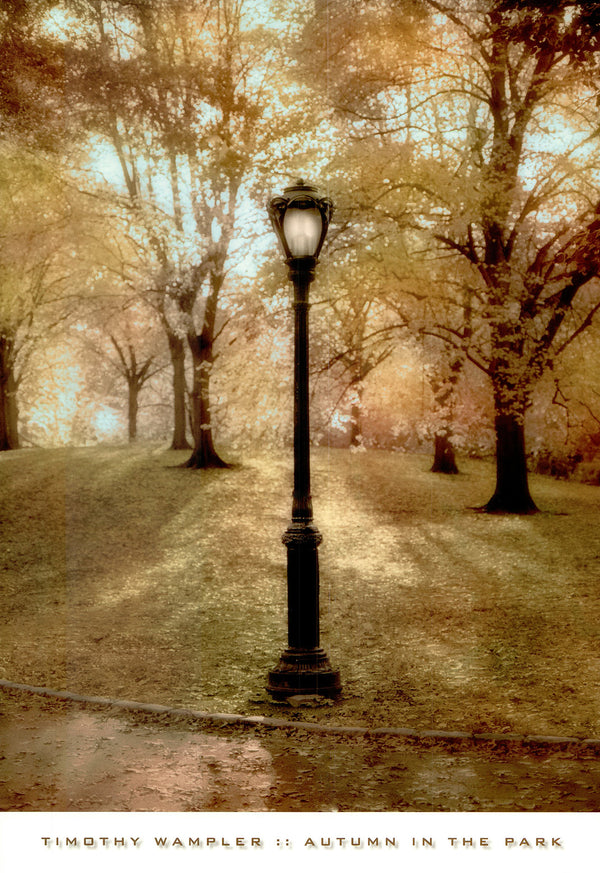 Autumn in the Park by Timothy Wampler - 26 X 18 Inches (Art Print)