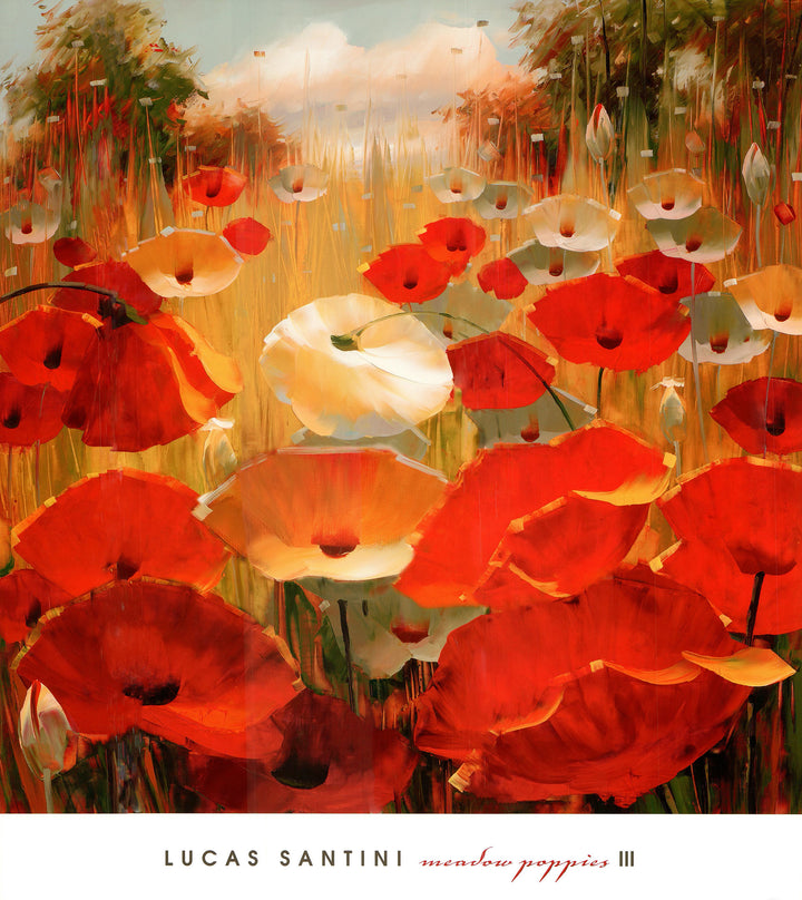 Meadow Poppies III by Lucas Santini - 27 X 30 Inches (Art print)