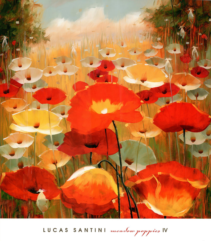 Meadow Poppies IV by Lucas Santini - 27 X 30 Inshes (Art Print)