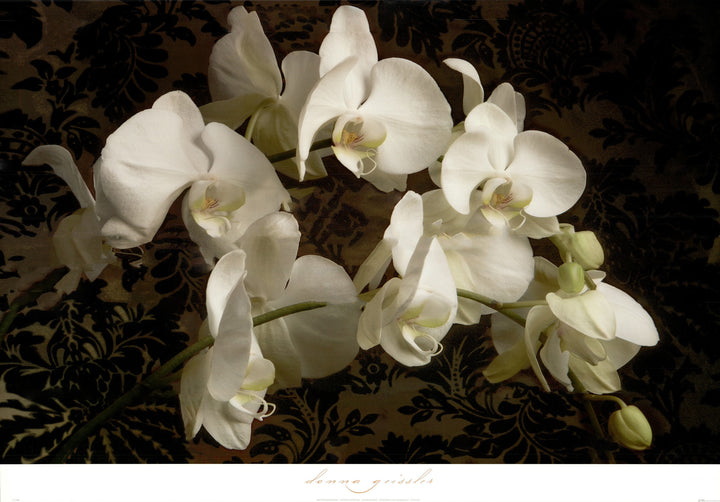 Bountiful Orchids by Donna Geissler - 26 X 36 Inches (Art Print)