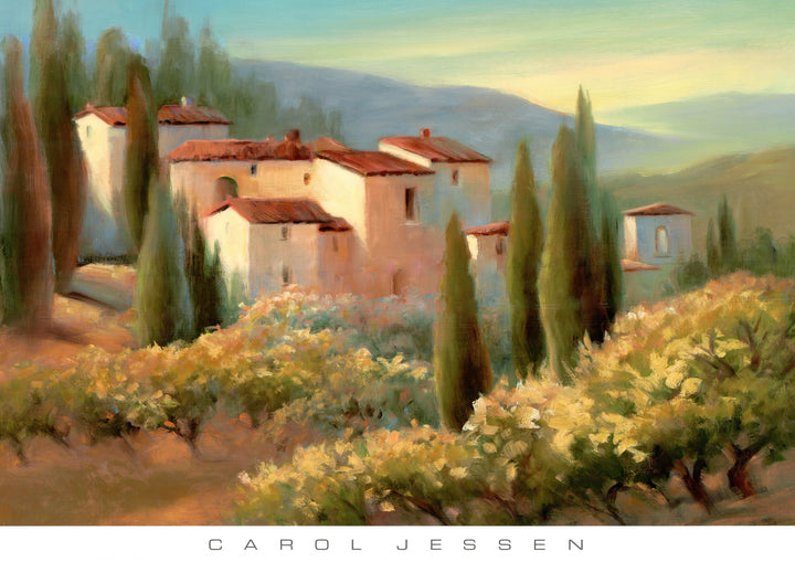 Blue Shadows in Tuscany II by Carol Jessen - 26 X 36 Inches (Art Print)