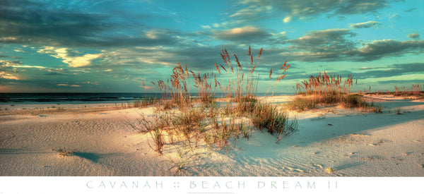 Beach Dream II by Doug Cavanah - 22 X 48 Inches (Art Print)